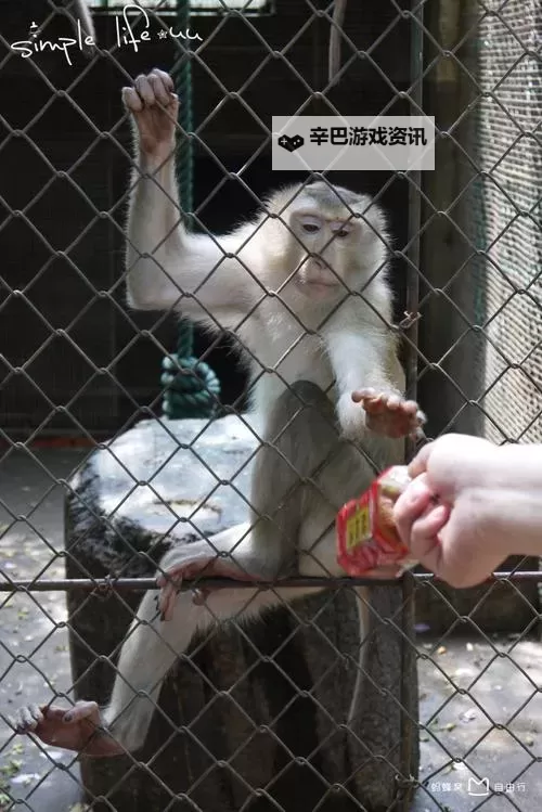 探索性色农村人动物园:乡村里的奇幻人与动物共舞图1