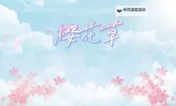 赏樱盛开时光：探索久草电影网樱花的唯美瞬间