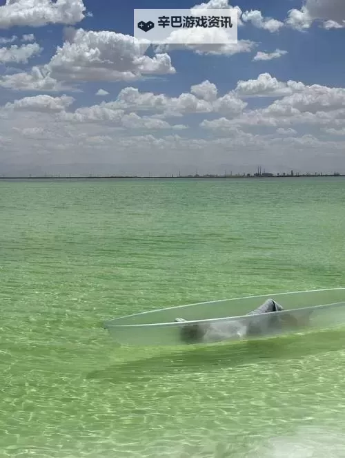 尽享精彩内容:131rr免费视频带你领略不一样的视界图1