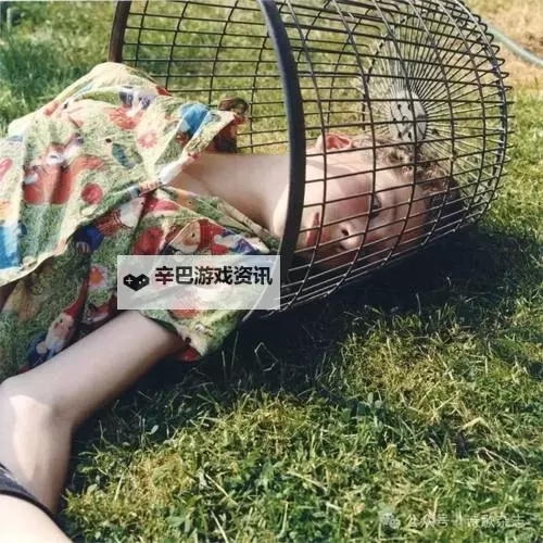 探索日本文化：关于 www.xxx日本妈妈的温馨故事与生活点滴图1