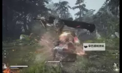 免费在线观看：轻松下载色天堂，享受无限精彩内容