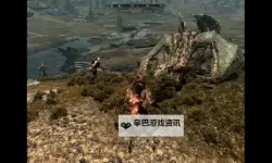 《上古卷轴5》怪物图鉴 奇葩怪物图鉴