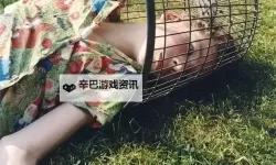 探索日本文化：关于 www.xxx日本妈妈的温馨故事与生活点滴