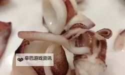 新鲜料理指南：如何实现鱿鱼直接进入鲜美食尚
