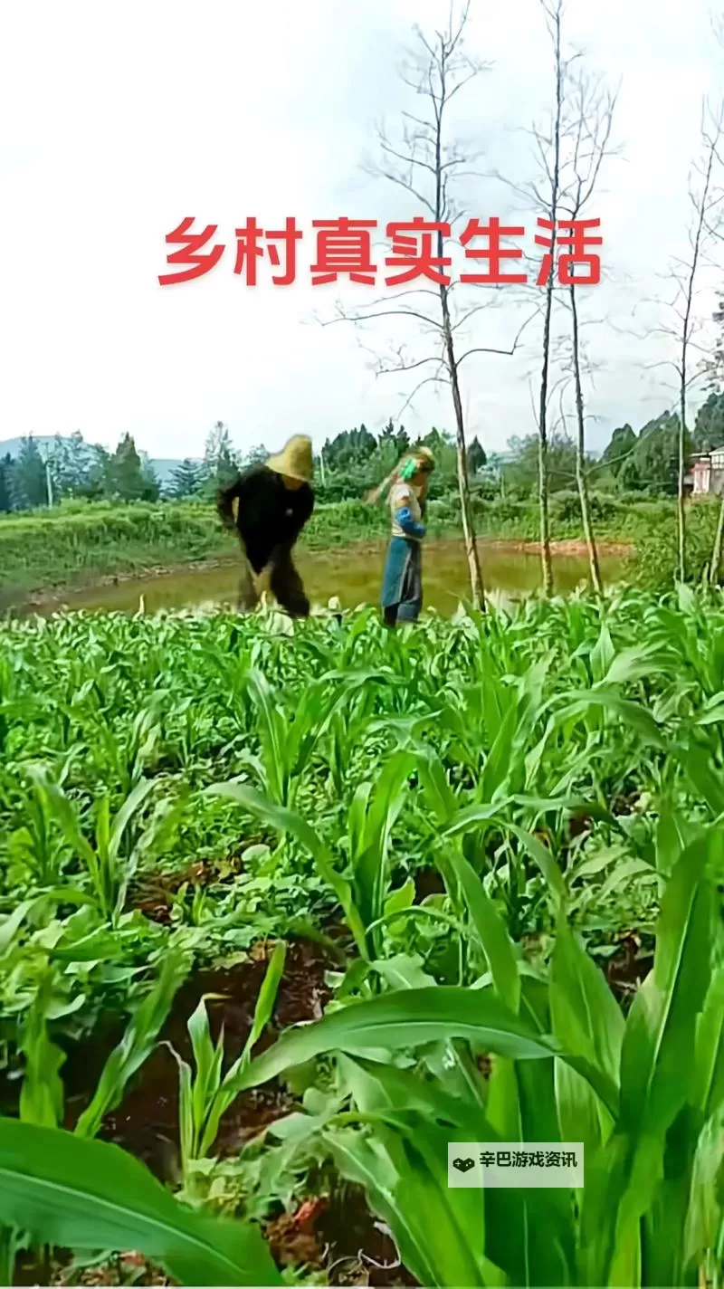 奇幻冒险：玉米地刮伦的秘密之旅图1