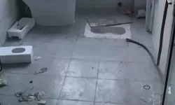 张津瑜探索口腔卫生间的创新理念