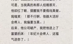 最爽的乱系列小说全集：畅享极致快感的激情盛宴