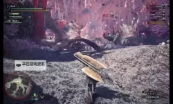 《怪物猎人世界》浮空龙大金冠测量方法