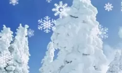 《了解雪花飘影院手机版观看时间：免费在线观看最新电影指南》