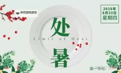 中文在线5月23日快速反弹：开启新一轮增长动力