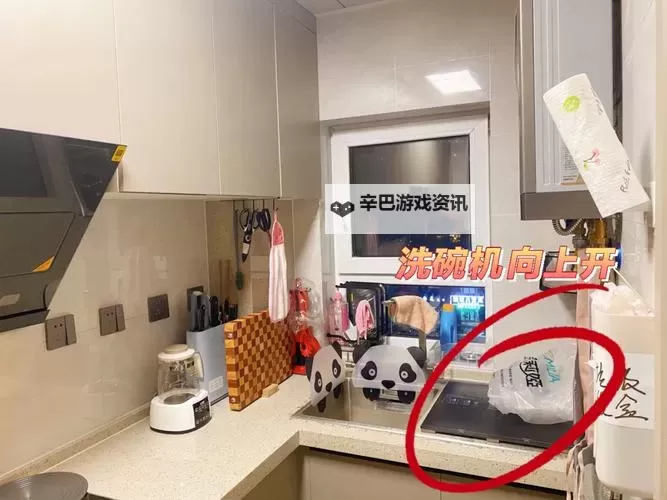 主人，我错了能不能关掉开关：一段心灵的忏悔与反思图1