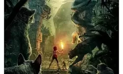 有没有奇幻森林岛双开软件推荐 深度解答如何双开奇幻森林岛