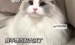 有个流氓爱上我：霸道总裁逆转人生的甜蜜邂逅