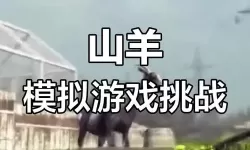 怎么双开模拟山羊？ 模拟山羊双开挂机图文全攻略