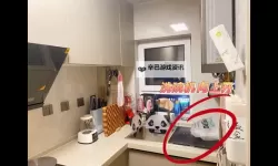 主人，我错了能不能关掉开关：一段心灵的忏悔与反思