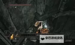 《黑暗之魂2原罪学者》图文攻略 全收集流程图文攻略