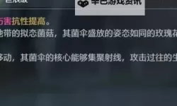 《鸣潮》刺玫菇声骸刷取路线