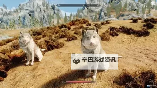 《上古卷轴4重制版》卡拉威库斯维尔面具获取方法图1