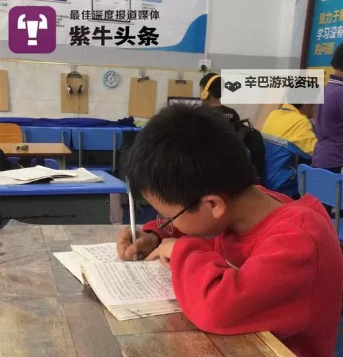 独一无二的静谧时光:坐在紫到发黑的木棒上写作业图1