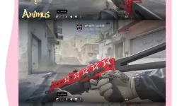 《CS2》上海major贴纸一览 上海major贴纸样式分享