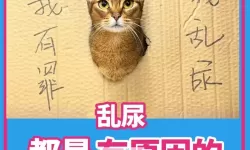 别捏了～尿出来了～：趣味趣事大揭秘