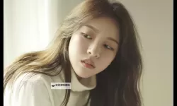 真实女友怎么玩：全面指南与实用技巧