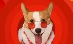 手机光棍：现代孤独的数字伴侣