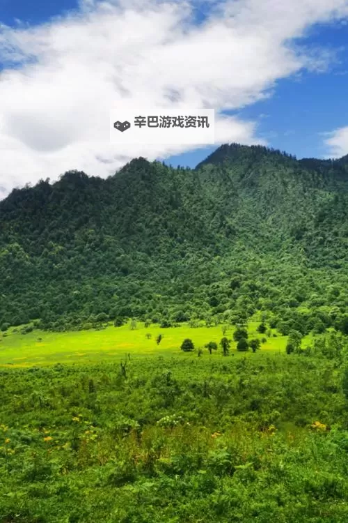 桃红色口界官网入口:畅享最新资讯与精彩内容图1