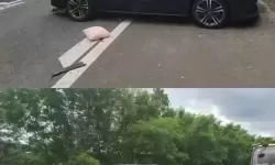 在车里被撞了八次高A：一次意外引发的惊心旅程