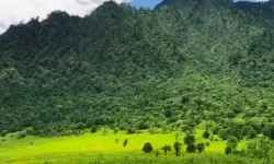 桃红色口界官网入口：畅享最新资讯与精彩内容