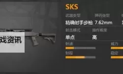 《绝地求生》新版本SKS枪口推荐 步枪补偿器与狙击枪补偿器一样吗