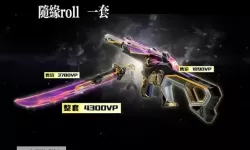 《无畏契约》2024冠军套皮肤全等级实机演示