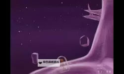 有没有紫色星球双开软件推荐 深度解答如何双开紫色星球