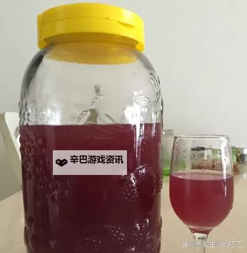 【教学教程】自酿葡萄酒视频全流程分享，品味DIY葡萄酒的乐趣图1