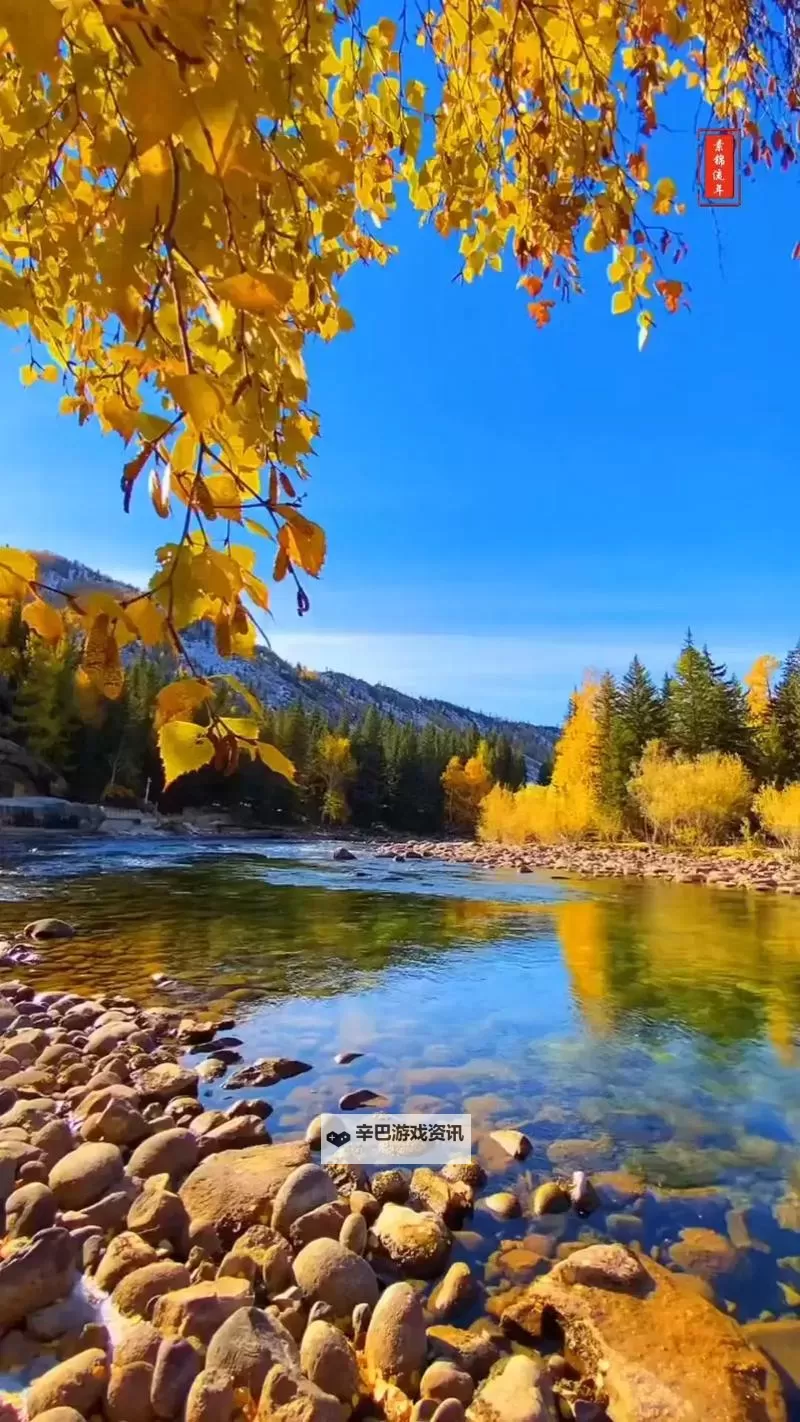 自己玩自己给别人看：探索自我表达的奇趣之旅图1