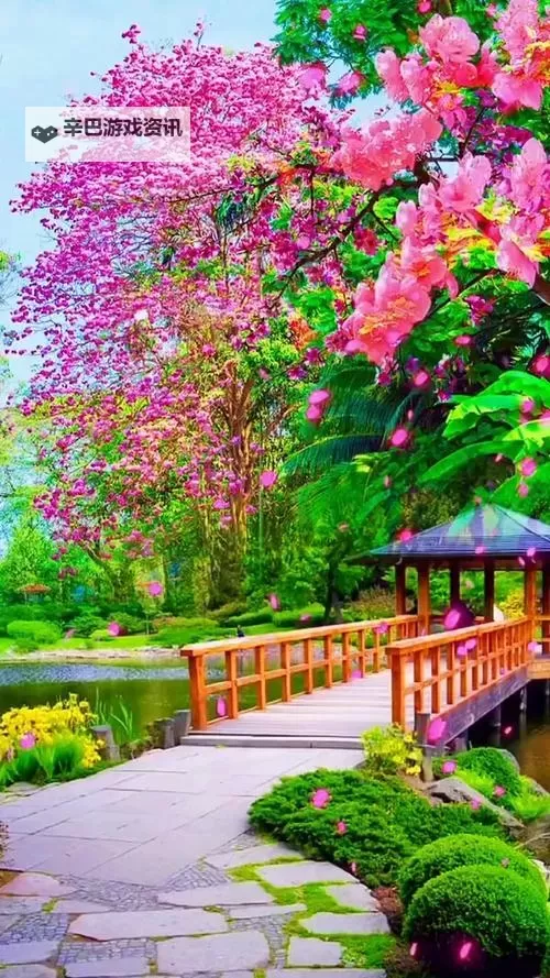 我的王朝如何双开 2021最新双开神器来袭图1