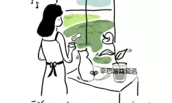 长日光阴乱作一团棉花糖：时光的甜蜜与迷离