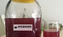 【教学教程】自酿葡萄酒视频全流程分享，品味DIY葡萄酒的乐趣