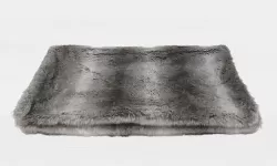 探秘未来：2024年xxxx19引领的科技革新