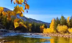 自己玩自己给别人看：探索自我表达的奇趣之旅