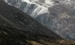 萌白酱色诱导航在线观看：最新高清免费观看攻略