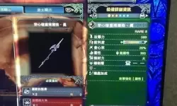 《怪物猎人世界》极贝希摩斯用操虫棍配装及打法思路