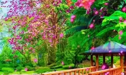 我的王朝如何双开 2021最新双开神器来袭