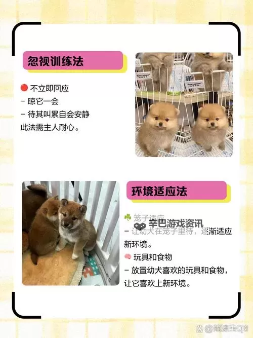 狗狗呼叫喵星如何双开 2021最新双开神器来袭图2