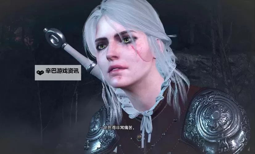 《巫师3》部分喜感对话分享图1