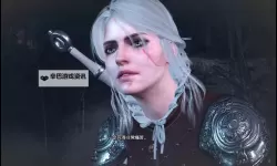 《巫师3》部分喜感对话分享