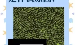 解决中文字幕乱码中文乱码问题的详细指南