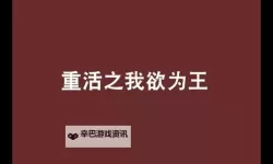 重活之我欲为王：逆转人生的王者归来