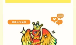 《蛋仔派对》新手基础设置与巅峰派对机制讲解