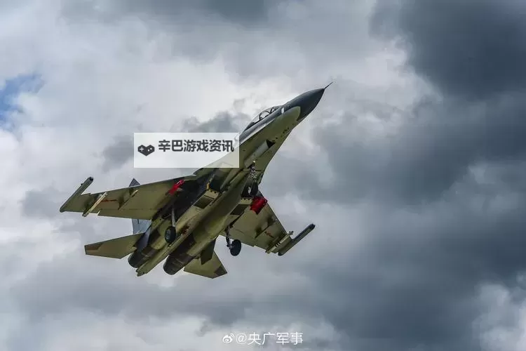 震撼来袭!全面解析最新军事视频中的精彩镜头图1